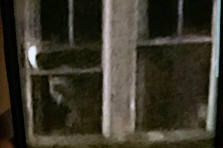 A Ghost Hunting Tour Specters and Apparitions in Salem