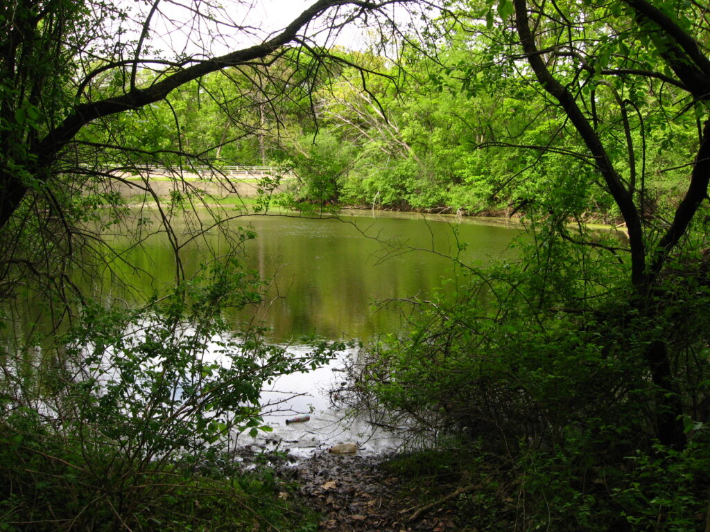 The pond beside Bachelor's Grove Cemetery, framed by trees