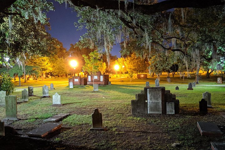 Bad Kitty Haunted Savannah Pub Crawl - Spooky, naughty ghosts