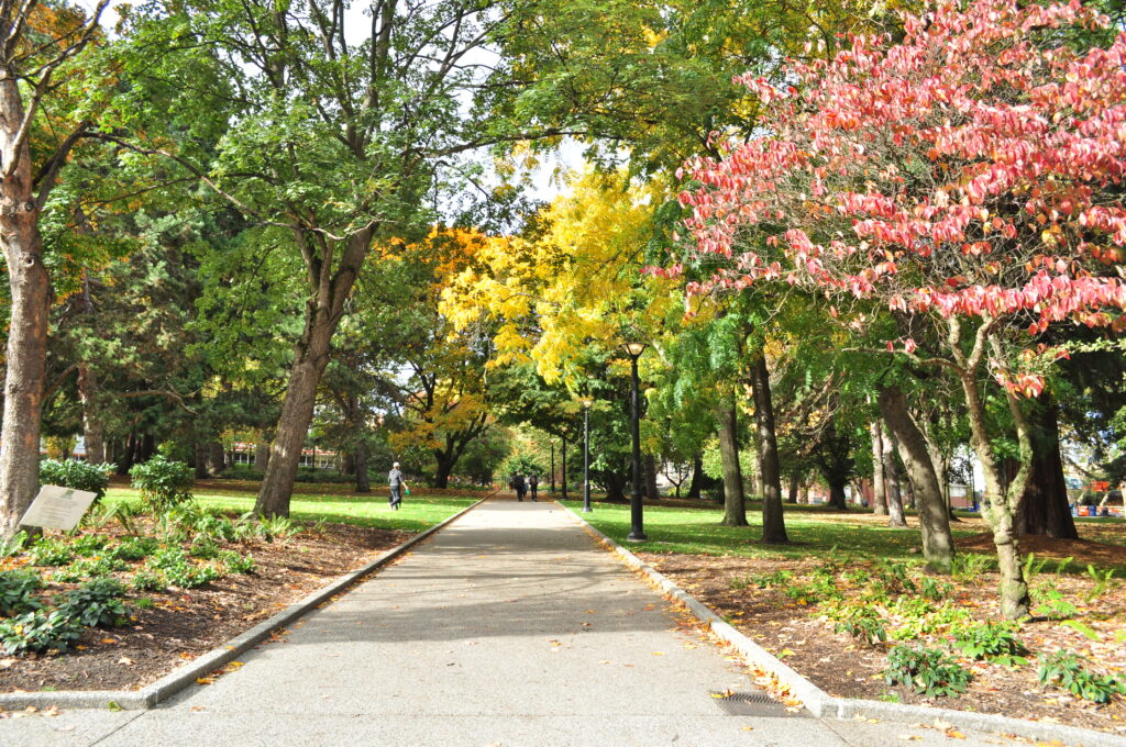 Denny Park, Seattle