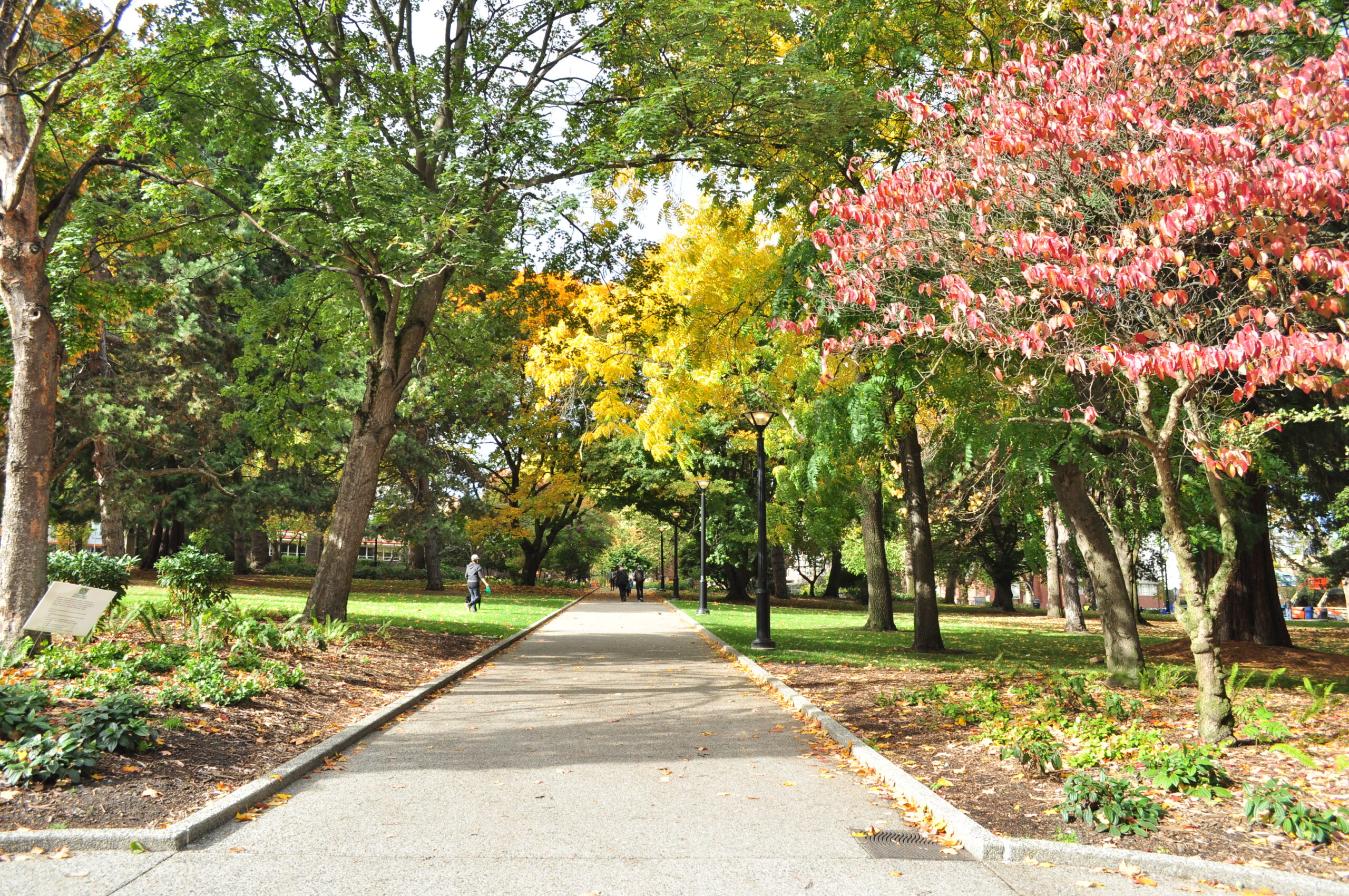 Denny Park, Seattle