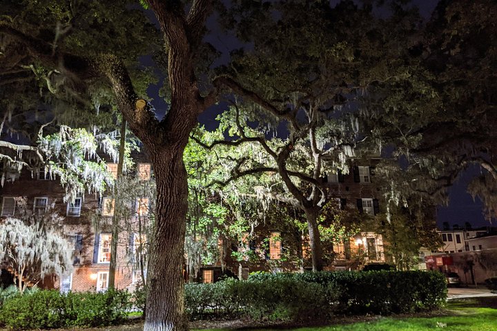Fraidy Cat: The Family Fun Ghost Tour of Savannah