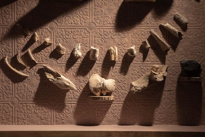 Ammunition, pottery shards, bottles and a collection of bones uncovered during excavation.