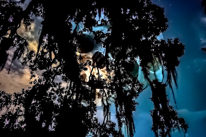 New Orleans Dead of Night Ghosts and Cemetery Bus Tour