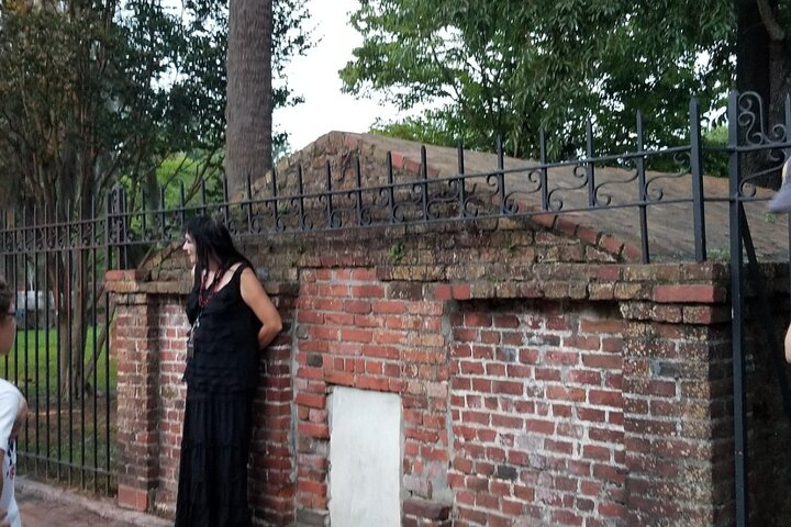 Savannah Beyond Good & Evil Tour