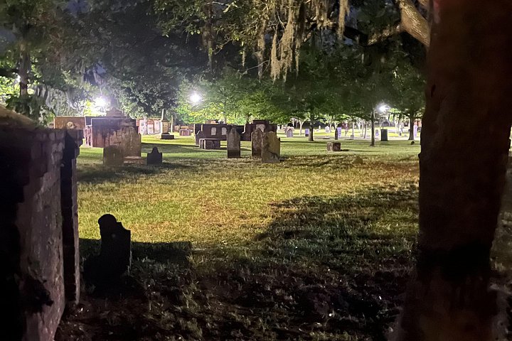 Savannah Beyond Good & Evil Tour