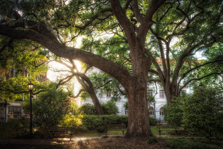 Savannah Dead of Night: Adults-Only Ghost Walking Tour