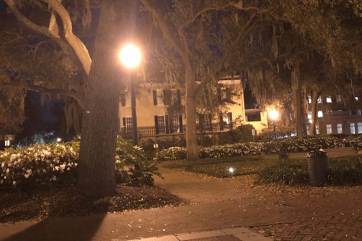 Small bright Orb on the ground in Madison Square captured by a guest at the starting point of our tour.