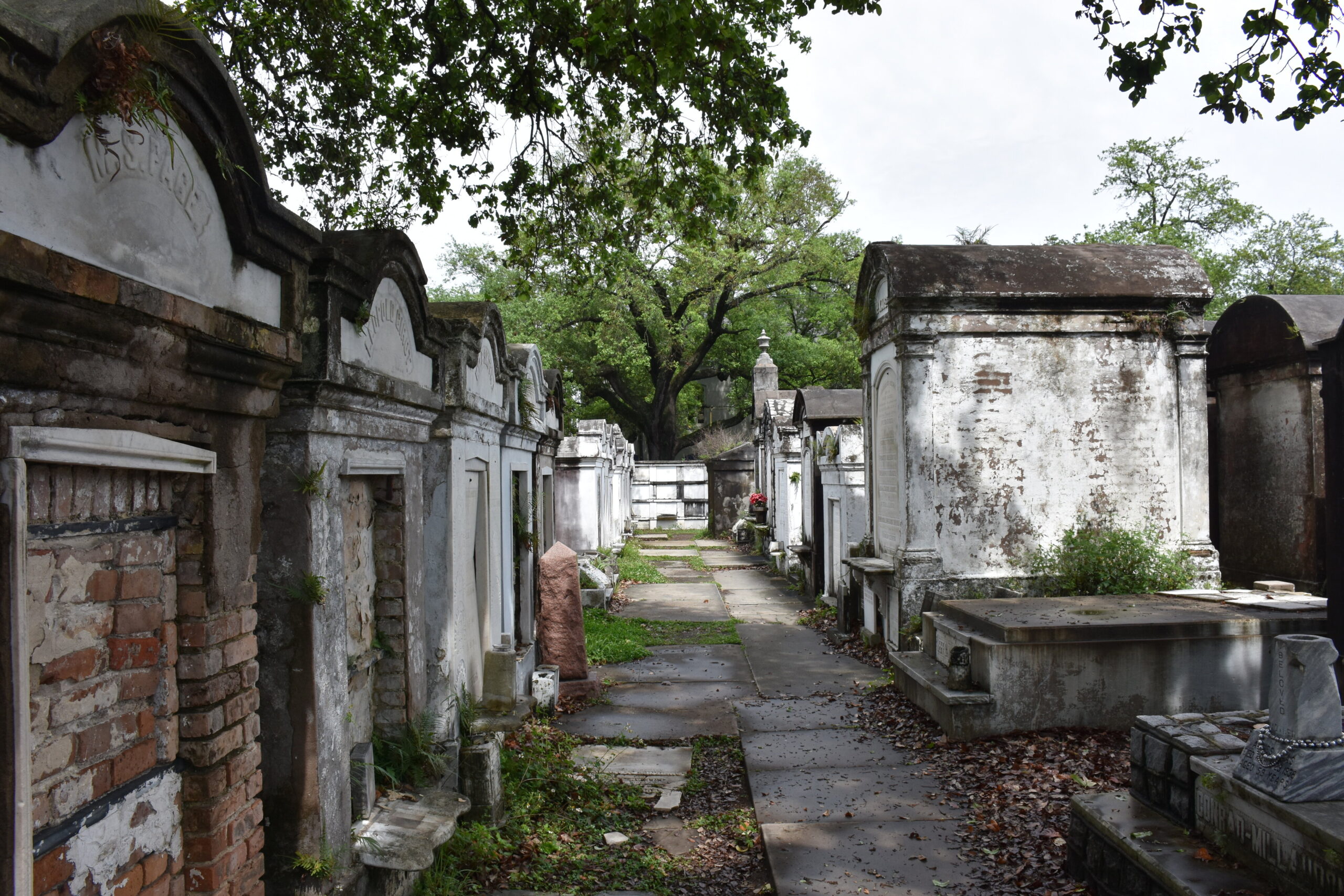 Weathered plaster and brick tombs lining a narrow path under oak trees